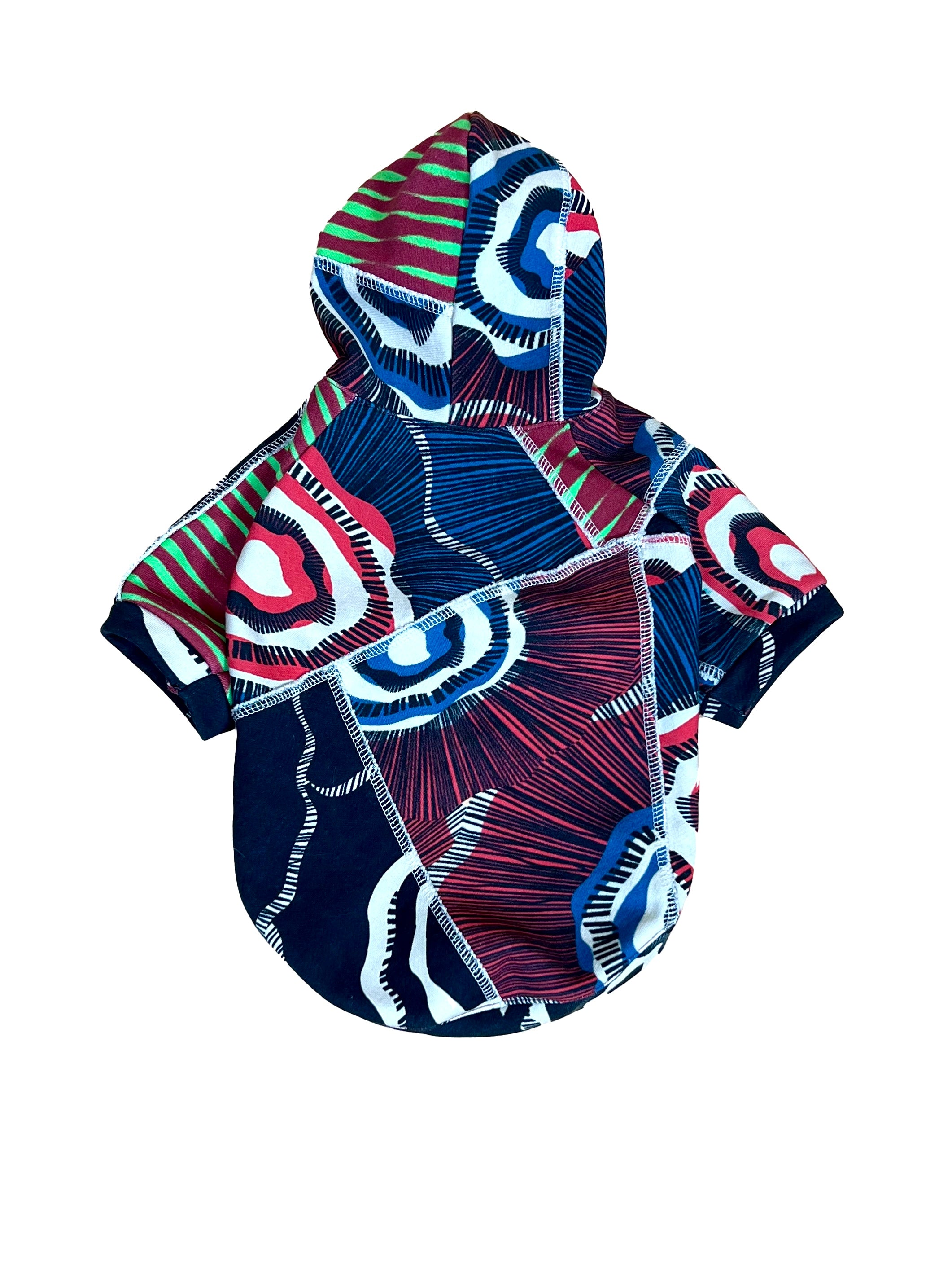 Stylish Doggy Sweatshirt - Lola Faturoti