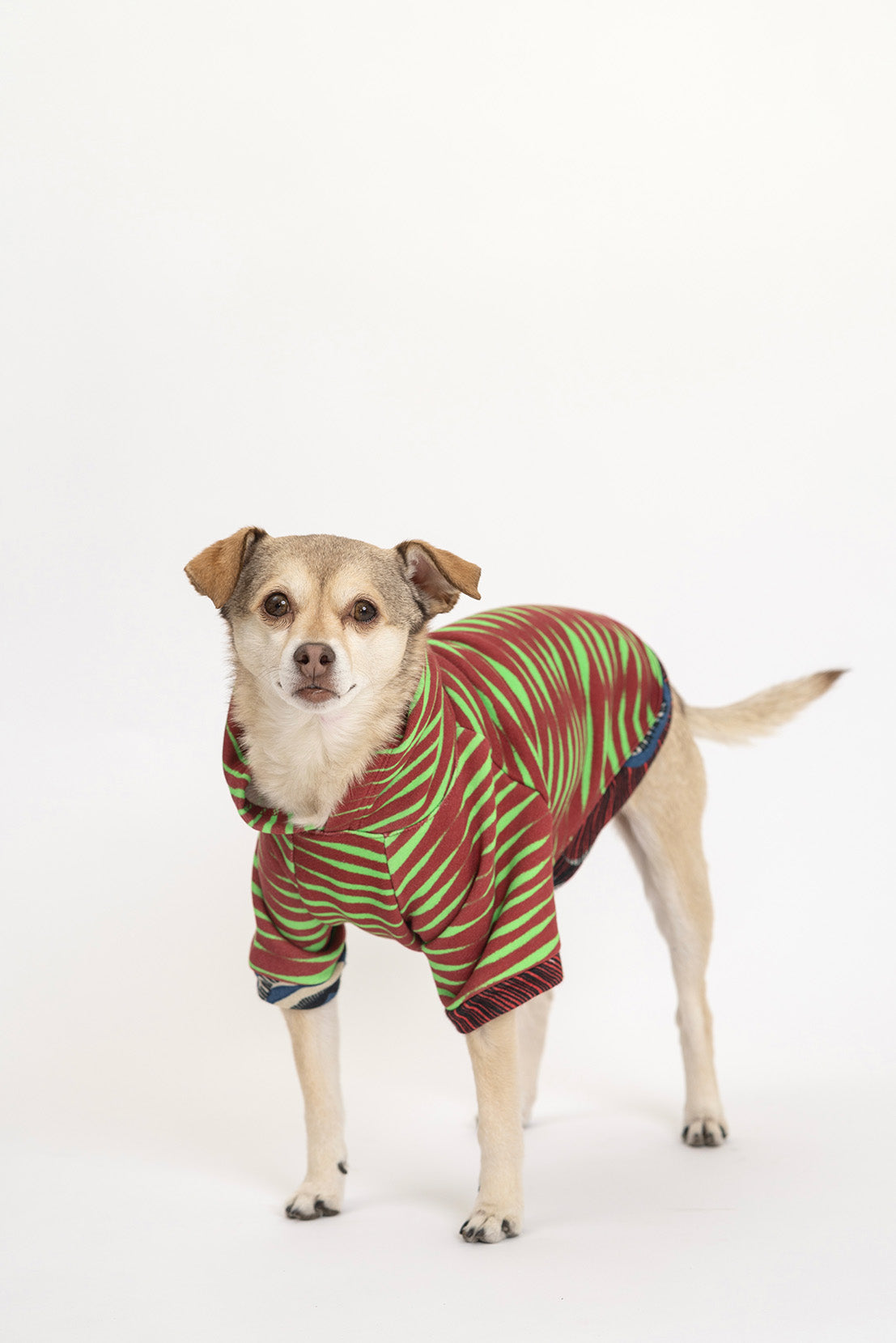 Ibadan Green Doggy Hoodies - Lola Faturoti