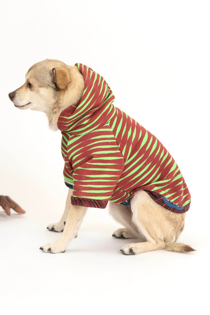 Sustainable Fashion - Doggy Hoodies